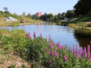 Sluneční ostrov po více než měsíci fungování. Jak projekt hodnotí lidé?