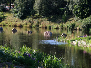 Sluneční ostrov po více než měsíci fungování. Jak projekt hodnotí lidé?
