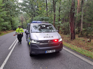 Silnici na Jindřichohradecku uzavřela tragická nehoda. Spolujezdkyně zemřela