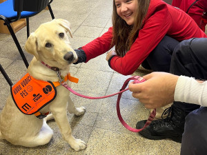 Jihočeská univerzita připravila s armádou kurz odolnosti pro budoucí učitele