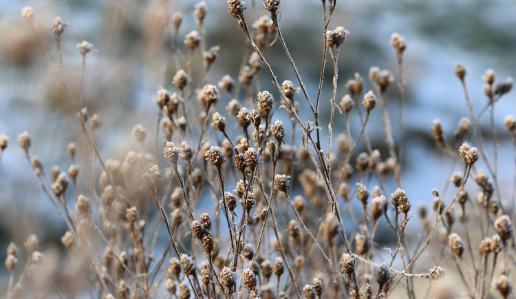 Páteční ráno bude mrazivé, nadcházející víkend sychravý a větrný