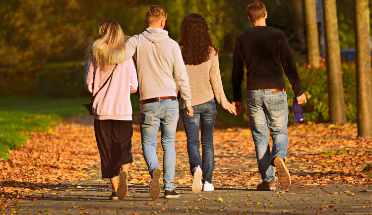 Božkovský park projde obnovou, na jeho nové podobě se mohou podílet i občané