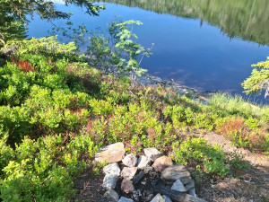 Lidé rozdělávají desítky nelegálních ohnišť v NP Šumava. Riskují obří požáry