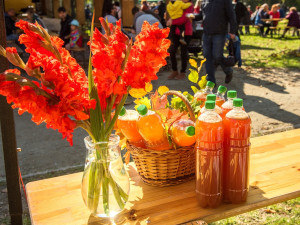 Borovanské hody nabídnou program pro celou rodinu i podzimní dobroty