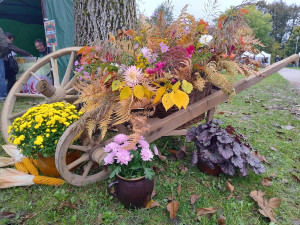 Borovanské hody nabídnou program pro celou rodinu i podzimní dobroty
