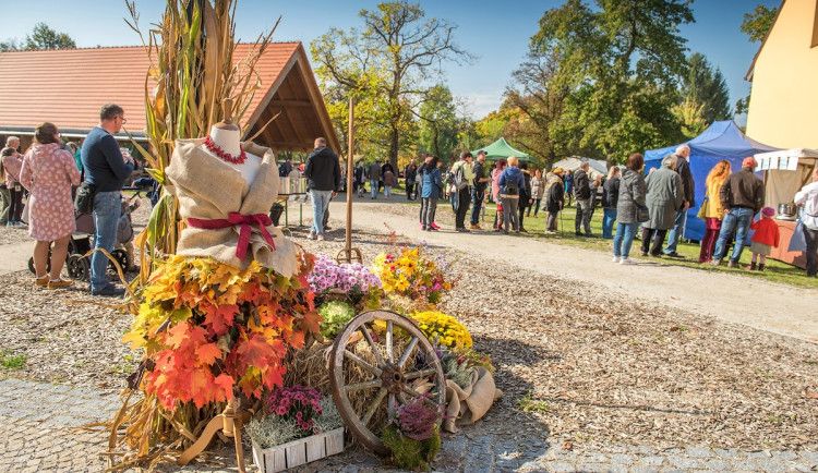 Borovanské hody nabídnou program pro celou rodinu i podzimní dobroty