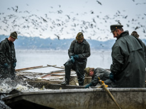 Začíná období výlovů. Po pauze se letos loví i Rožmberk - největší český rybník.