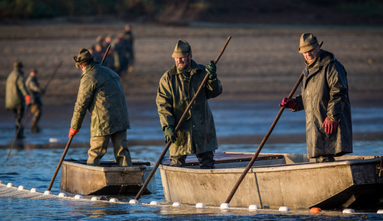 Edukativní program Jihočeského kraje a Jihočeské univerzity oživí výlov Rožmberka 2025
