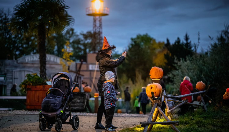 Safari Park připravuje tradiční Týden duchů. Začne 25. října