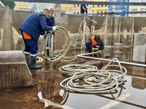Samson je před zimou ve skvělé kondici, ohleduplní k němu byli letos i turisti
