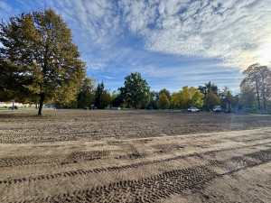 Sokolák se proměnil v oraniště, na jaře se opět zazelená