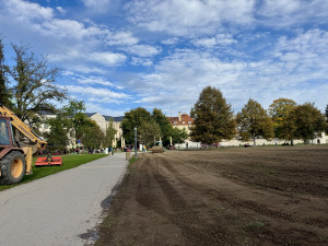 Sokolák se proměnil v oraniště, na jaře se opět zazelená
