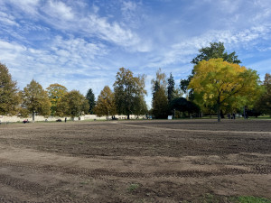 Sokolák se proměnil v oraniště, na jaře se opět zazelená