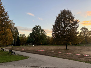 Sokolák se proměnil v oraniště, na jaře se opět zazelená