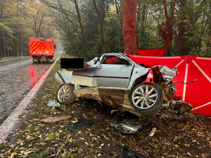 Po nárazu do stromu zemřel na Jindřichohradecku mladý řidič