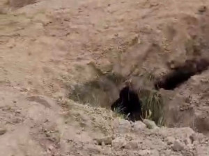 Jihočeská policie přistihla od července 45 lidí, kteří nelegálně těžili vltavíny