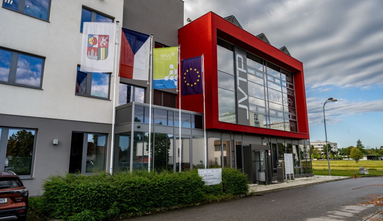 Bylinky i high-tech. Jihočeský startup Herbavita mění výživu hospodářských zvířat.