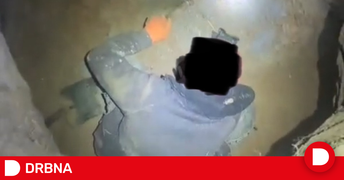 Jiho esk Policie P istihla Od ervence 45 Lid Kte Neleg ln T ili jiho-esk-policie-p-istihla-od-ervence-45-lid-kte-neleg-ln-t-ili