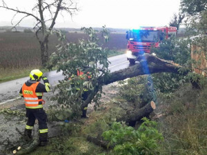 Většinu Čech zasáhne v neděli silný vítr s nárazy o rychlosti až 70 kilometrů za hodinu