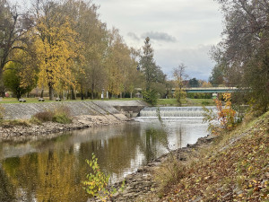 Budějovické řeky odhalují tajemství. Snížené hladiny obnažily kamenité břehy, sochu i Malý jez