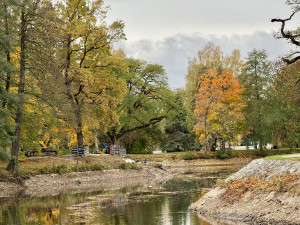 Budějovické řeky odhalují tajemství. Snížené hladiny obnažily kamenité břehy, sochu i Malý jez