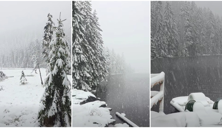 Velké Javorské jezero, foto: Richard Brož / We Love Šumava