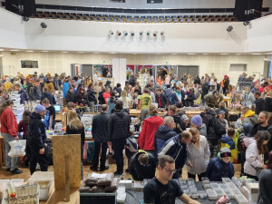 KULTURNÍ TIPY: První listopadový víkend nabídne halloweenské párty i klidné výlety po přírodě