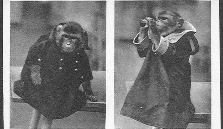 Nemáte doma historické fotografie z olomoucké zoo? Zahrada prosí o jejich zapůjčení