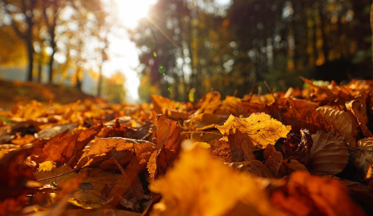 Počasí na týden? Předpověď slibuje příjemné teploty a slunce