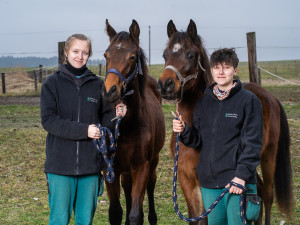 Kam na učňák? No přece do Trhových Svinů