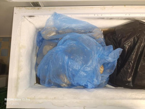 Inspekce uzavřela prodejnu v Táboře kvůli hlodavcům a špíně