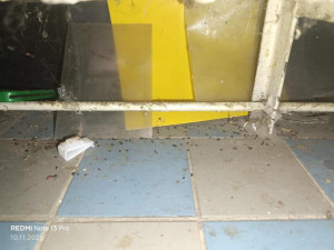 Inspekce uzavřela prodejnu v Táboře kvůli hlodavcům a špíně