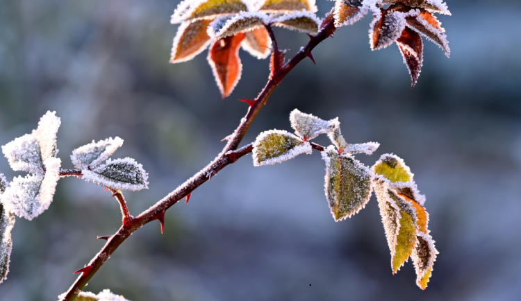 Prodloužený víkend ještě nabídne podzimní počasí. Pak dorazí pravá zima