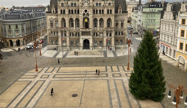 Vánoční strom Liberce už stojí před radnicí. Slavnostně rozsvícen bude v pátek