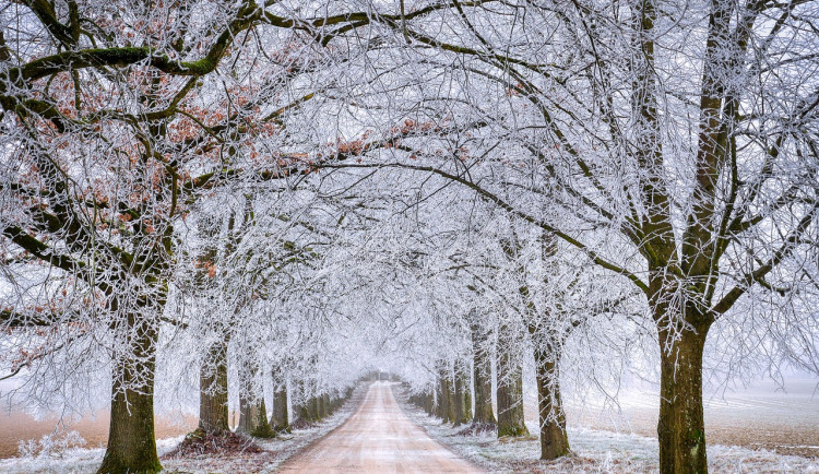 Česko má před sebou chladný týden, sněžit může i v nižších polohách