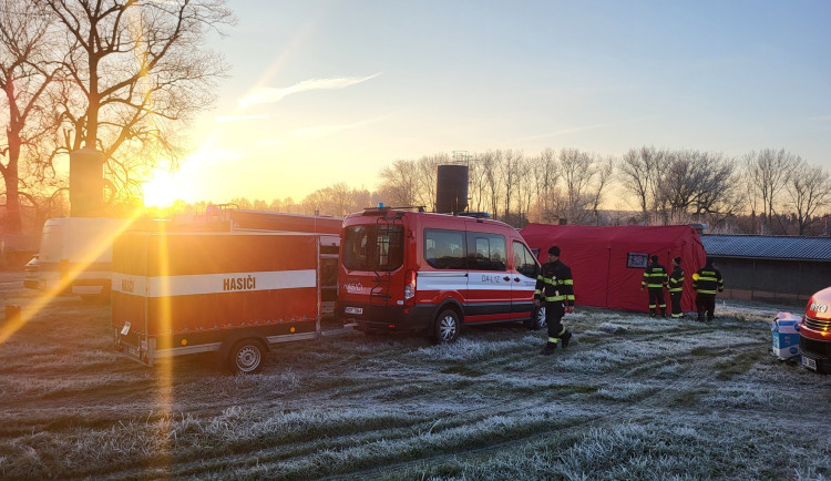 V Blatné kvůli ptačí chřipce začala likvidace 13 tisíc kachen