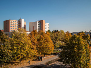Střední škola spojů a informatiky v Táboře pokrývá hlavní sektory současnosti