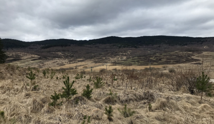 Vojenský újezd Boletice je jedním ze čtyř podobných území v Česku