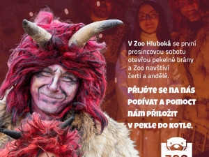 Čert a anděl přicházejí do Zoo. Tradiční akce pro celou rodinu