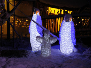 Vánočně nasvícená Zoo Hluboká rozsvítí vaše srdce