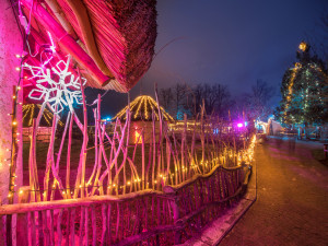 Vánočně nasvícená Zoo Hluboká rozsvítí vaše srdce