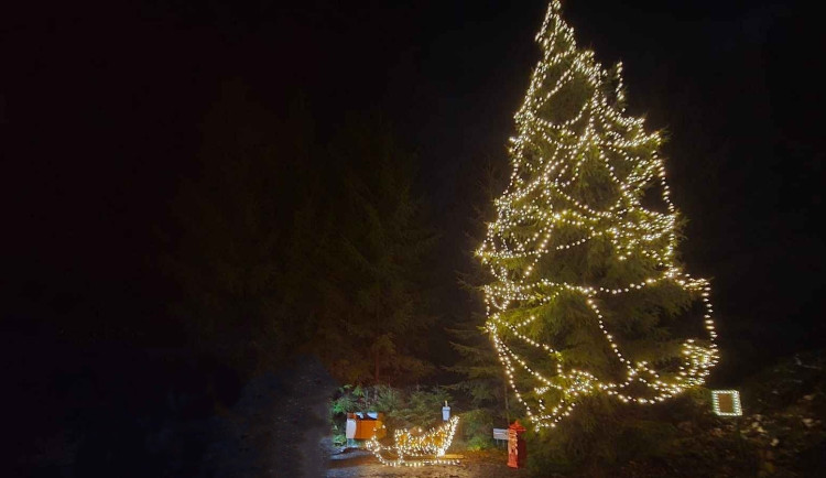 Spáleným lesem vede magická vánoční stezka. Končí u rozsvíceného stromu