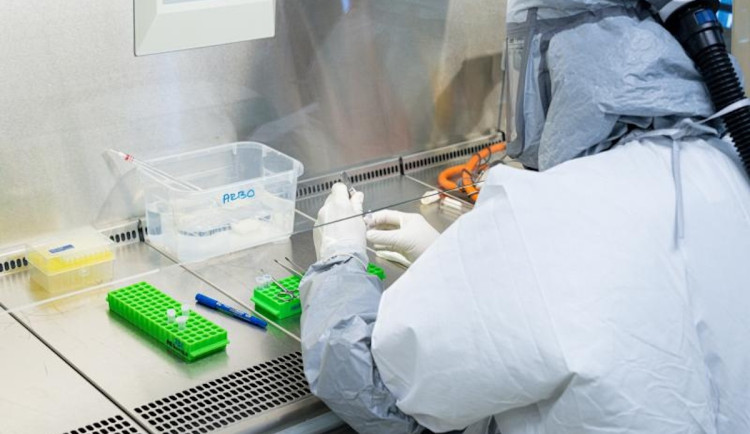 Vědci kritizují záměr vlády snížit pro příští rok částku na výzkum o 790 milionů