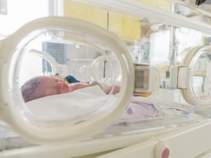 Jediná okresní nemocnice s vysoce specializovanou péčí o předčasně narozené děti na jihu Čech je v Písku.