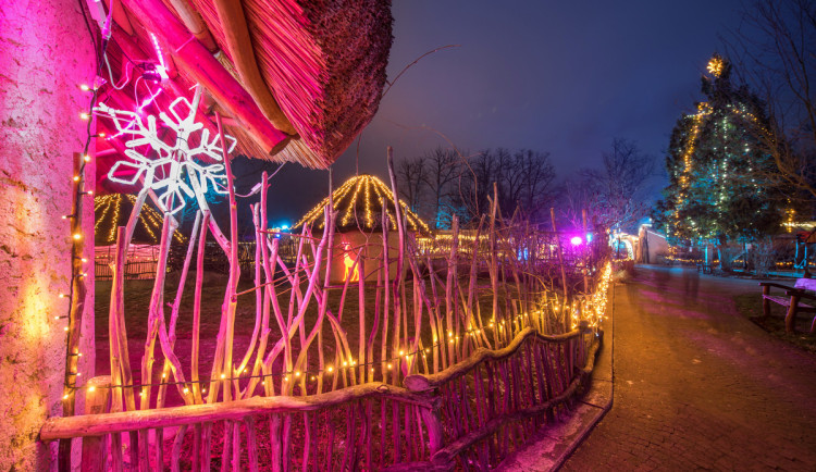 Přijďte na Štědrý den nadělit zvířátkům pod stromeček do Zoo Hluboká