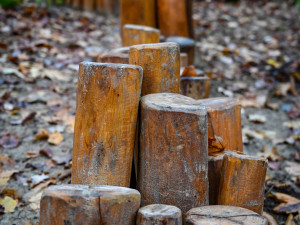 Skřítek Pimon provází děti v Píseckých horách. Na nové stezce potkají vydru i divoké prase