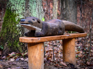 Skřítek Pimon provází děti v Píseckých horách. Na nové stezce potkají vydru i divoké prase