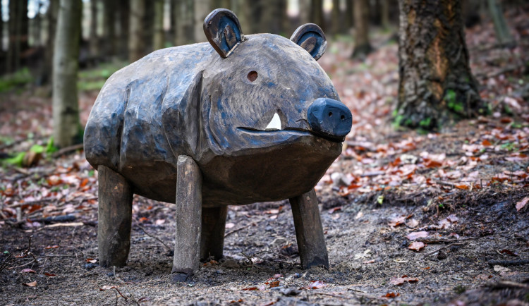 Skřítek Pimon provází děti v Píseckých horách. Na nové stezce potkají vydru i divoké prase