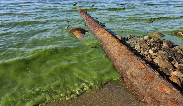 Vědci mapovali odpadní výpusti na Lipně
