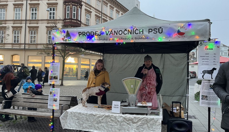 Kapři cítí bolest, míní aktivisté z Brna. Místo ryb nabízejí vánoční psy